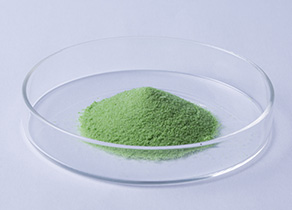 Zhejiang Zancheng Life Sciences Ltd.