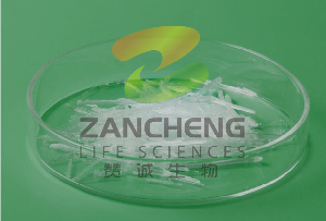 Basic Introduction of Menthol and L-menthol