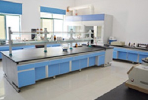 PQQ, An Emerging Ingredient in Brain Health