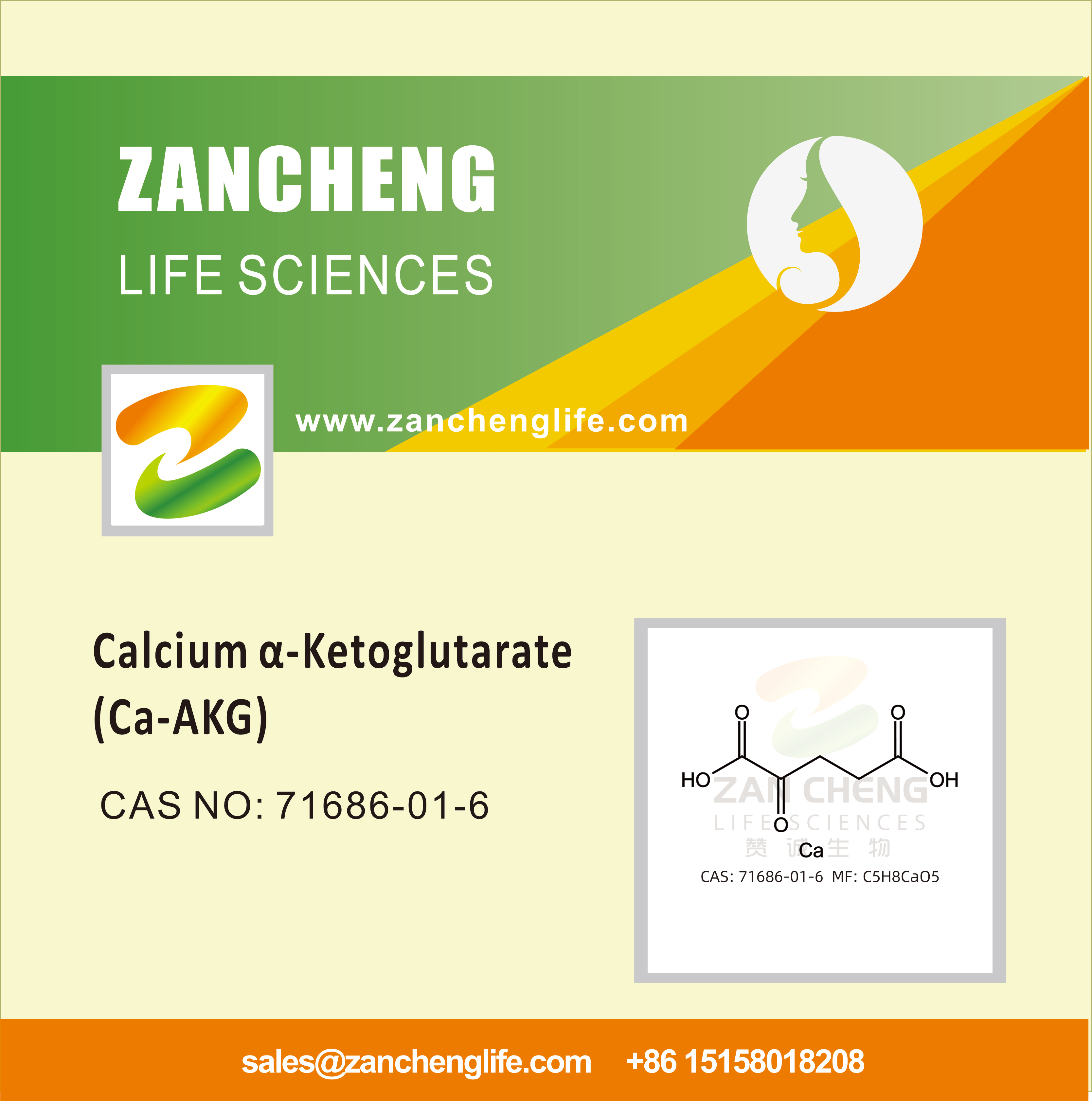 Calcium α-Ketoglutarate (Ca-AKG)
