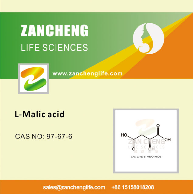 What Is the Difference Between Malic Acid and L Malic Acid?