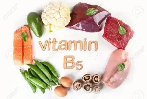 Emerging Trends in Vitamin B5 Demand Across Food, Feed, and Supplement Industries